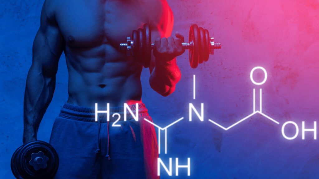 creatine and weight loss creatine and weight loss